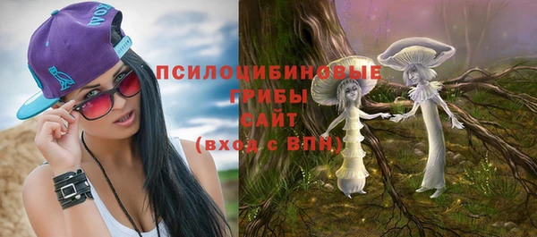 гидропоника Покачи