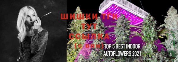 спиды Пересвет