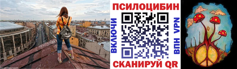 даркнет сайт  Морозовск  нарко площадка Telegram  Псилоцибиновые грибы мицелий 